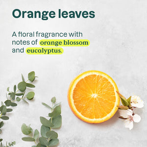 SUPER LEAVES™ Liquid Hand Soap Orange Leaves | Eco-Refill 4L